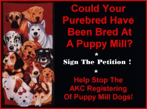 does akc support puppy mills